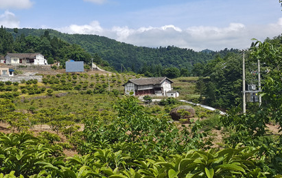 緊線器守護(hù)鄉(xiāng)村振興夢(mèng)